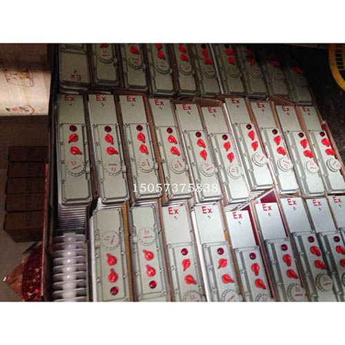 BDR51-9防爆电扰淄汀