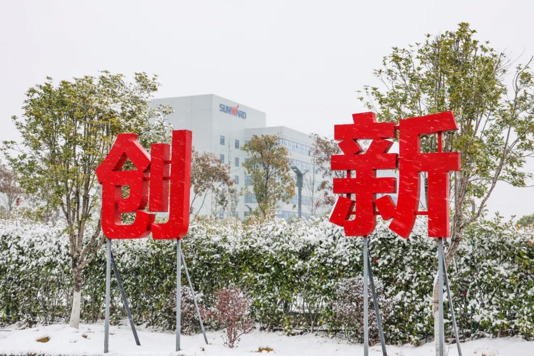 瑞雪兆有年，，，邀您共赏雪中币游国际！