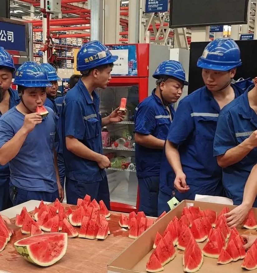 币游国际智能“降暑套餐”，，，，，只为不平“暑”的你