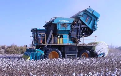 科技赋能农业强国建设！币游国际智能这小我私家工智能项目入选《湖南省“数字新基建”100个标记性项目名单》