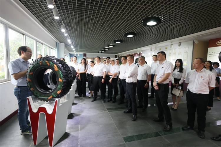 币游国际智能“学头脑 强党性 重实践 建新功”主题教育培训班在广州乐成举行